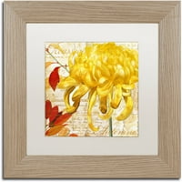 Védjegy Szépművészet Chrysanthemums II Canvas Art by Color Bakery White Matte, Birch Frame