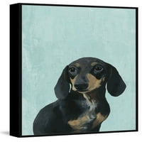 Marmont Hill Széles szemű kutya úszó keretes festmény nyomtatás vászonra