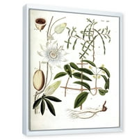 Designart 'ókori növényi élet IV' parasztház keretes vászon fali művészet nyomtatás