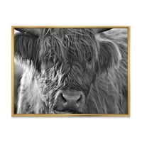 DesignArt 'közeli skót hegyvidéki tehenek, amelyek a mocsarakban élnek.