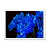 Designart 'Blue Chrysanthemum virágok fekete háttérben' hagyományos keretes művészet nyomtatás