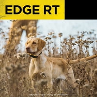 Dogtra EDGE RT távoli kutyakiképző gallér hosszú távú, nagy teljesítményű 1 mérföldes vízálló 3 kutya bővíthető